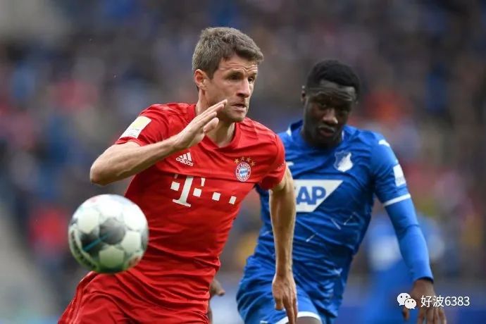  霍芬海姆锋线全面开花大胜沙尔克登榜首